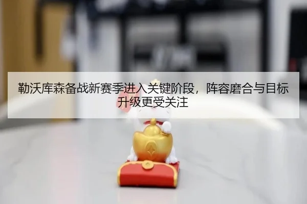 勒沃库森备战新赛季进入关键阶段，阵容磨合与目标升级更受关注